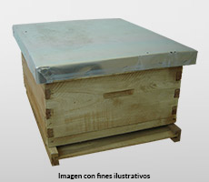 caja tapa fondo y 10 cuadros