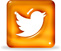 icon twitter